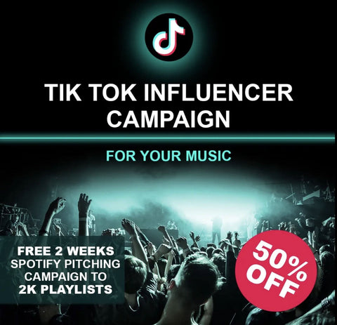 TikTok Influencers Campaign 